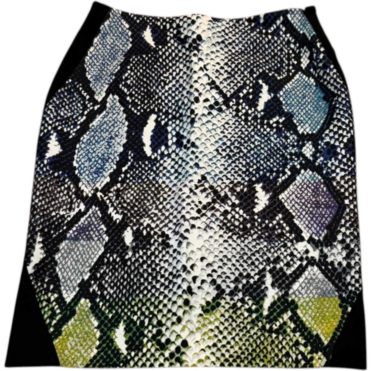 Diane Von Furstenberg Women's Sz 2 Snake Skin Pattern Straight Pencil Skirt NEW